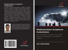 Międzynarodowe zarządzanie środowiskiem的封面