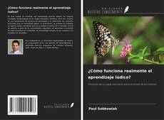 Portada del libro de ¿Cómo funciona realmente el aprendizaje lúdico?