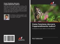 Обложка Come funziona davvero l'apprendimento ludico?