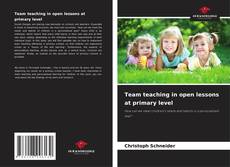 Capa do livro de Team teaching in open lessons at primary level 