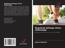 Buchcover von Regulacja dolnego stawu skokowego