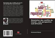 Résolution des conflits du travail : une perspective sud-africaine的封面