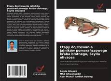 Buchcover von Etapy dojrzewania jajników pomarańczowego kraba błotnego, Scylla olivacea