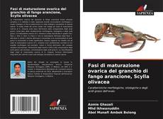 Borítókép a  Fasi di maturazione ovarica del granchio di fango arancione, Scylla olivacea - hoz