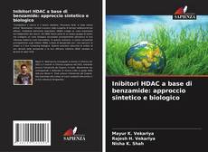 Copertina di Inibitori HDAC a base di benzamide: approccio sintetico e biologico