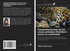 Couverture de Comportamientos de las onzas pintadas (Panthera onca) en cautividad