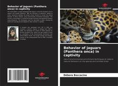 Copertina di Behavior of jaguars (Panthera onca) in captivity
