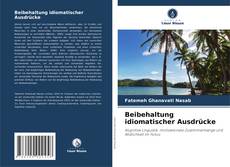 Beibehaltung idiomatischer Ausdrücke kitap kapağı