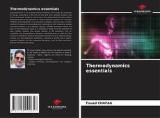 Copertina di Thermodynamics essentials