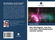 Das Wichtigste, was Sie sich über Thermodynamik merken sollten kitap kapağı