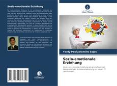 Sozio-emotionale Erziehung kitap kapağı