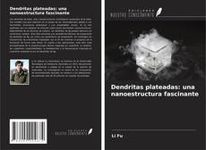 Copertina di Dendritas plateadas: una nanoestructura fascinante