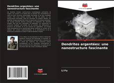 Copertina di Dendrites argentées: une nanostructure fascinante
