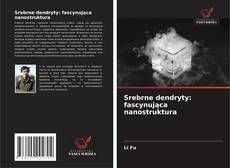 Buchcover von Srebrne dendryty: fascynująca nanostruktura