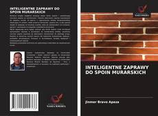 Buchcover von INTELIGENTNE ZAPRAWY DO SPOIN MURARSKICH
