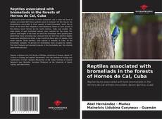 Обложка Reptiles associated with bromeliads in the forests of Hornos de Cal, Cuba