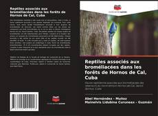 Borítókép a  Reptiles associés aux broméliacées dans les forêts de Hornos de Cal, Cuba - hoz