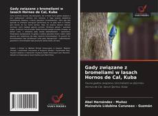 Buchcover von Gady związane z bromeliami w lasach Hornos de Cal, Kuba