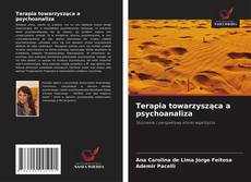 Bookcover of Terapia towarzysząca a psychoanaliza