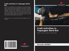 Copertina di Craft activities in Yopougon Nord-Est