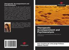 Therapeutic Accompaniment and Psychoanalysis的封面