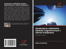 Bookcover of Zamknięcie oddziałów banków zagranicznych i oferta kredytowa