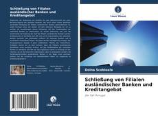 Schließung von Filialen ausländischer Banken und Kreditangebot kitap kapağı