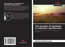The paradox of agrofuels in capitalist reproduction的封面