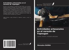 Copertina di Actividades artesanales en el noreste de Yopougon