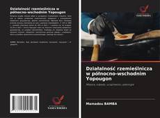 Działalność rzemieślnicza w północno-wschodnim Yopougon的封面