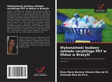 Wykonalność budowy zakładu recyklingu PET w Ilhéus w Brazylii的封面
