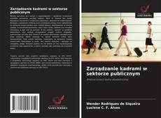 Zarządzanie kadrami w sektorze publicznym的封面