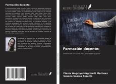 Copertina di Formación docente:
