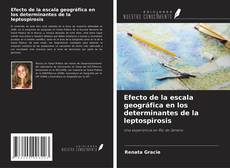 Copertina di Efecto de la escala geográfica en los determinantes de la leptospirosis