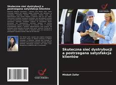 Copertina di Skuteczna sieć dystrybucji a postrzegana satysfakcja klientów