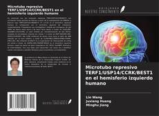 Copertina di Microtubo represivo TERF1/USP14/CCRK/BEST1 en el hemisferio izquierdo humano