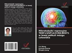 Mikrotubulki represyjne TERF1/USP14/CCRK/BEST1 w lewej półkuli mózgu człowieka kitap kapağı