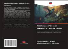 Buchcover von Assemblage d'oiseaux forestiers à Loma de Gabino