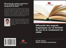Portada del libro de Efficacité des engrais organiques sur la fertilité du sol et le rendement du niébé