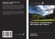 Copertina di Panorama caleidoscópico del estado de Tripura
