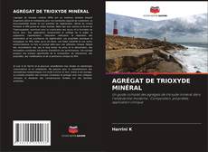 Buchcover von AGRÉGAT DE TRIOXYDE MINÉRAL