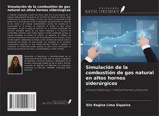 Portada del libro de Simulación de la combustión de gas natural en altos hornos siderúrgicos