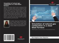 Simulation of natural gas combustion in a steel blast furnace的封面