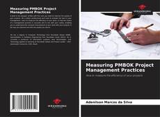 Measuring PMBOK Project Management Practices的封面