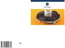 Borítókép a  Pilz - hoz