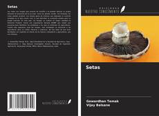 Setas的封面