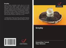 Borítókép a  Grzyby - hoz