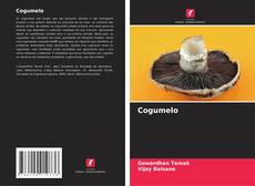 Buchcover von Cogumelo