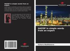 Capa do livro de HAZOP in simple words from an expert 