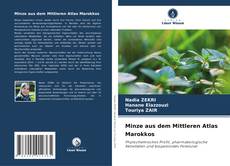 Bookcover of Minze aus dem Mittleren Atlas Marokkos